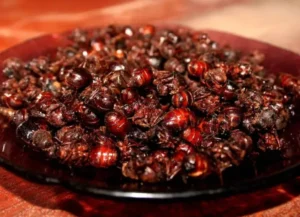 🐜 Las Culonas: El Tesoro Crujiente de Zapatoca